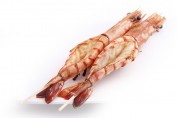 Y7 GAMBAS