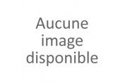 Limonade japonais saveur orange